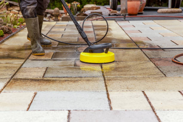 Best Sidewalk and Walkway Cleaning  in St Clair Shores, MI