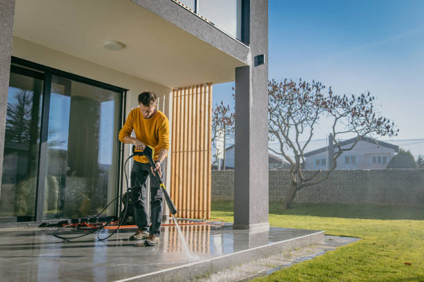 Best Roof Washing  in St Clair Shores, MI